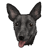 Dog Sticker