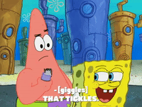 season 8 episode 25 GIF by SpongeBob SquarePants