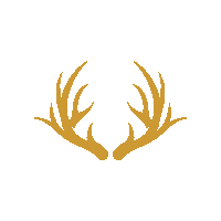 Wildlife Deer Sticker