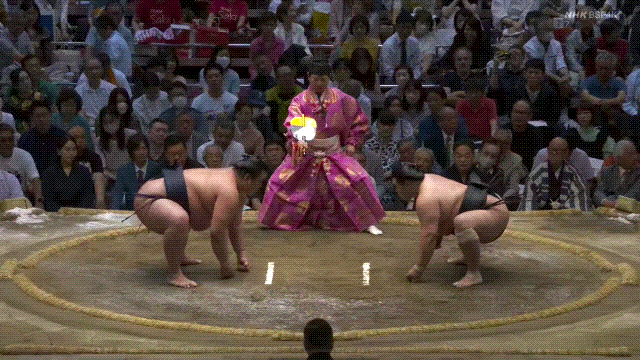 TZ85 giphyupload GIF