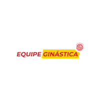 sociedadeginastica ginastica sgnh ginastica nh equipe ginastica Sticker