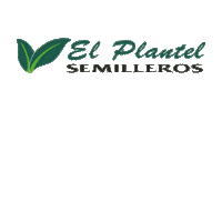 Deporte Meta Sticker by El plantel semilleros