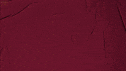 College Baseball GIF by Pearl River Athletics