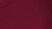 College Baseball GIF by Pearl River Athletics