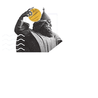 Water Polo Euro Sticker by CroWP