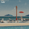Six-Pack Pool GIF by Tubi