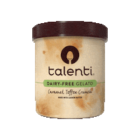Talenti icecream gelato dairyfree talenti Sticker