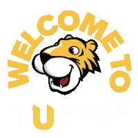 College Move In Sticker by Towson University