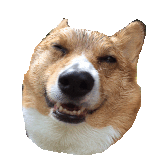 dog laughing Sticker