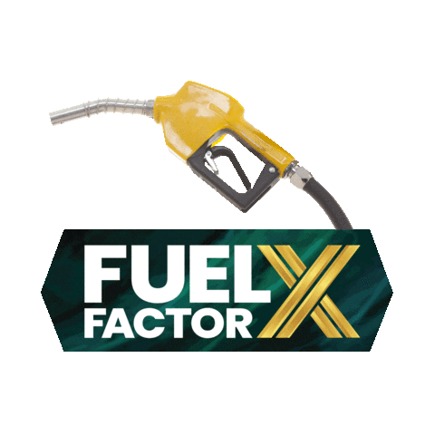 Money Auto Sticker by MDC Creative Services