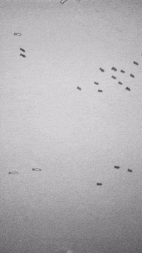 mozemm animation paper GIF