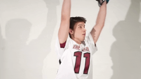 Mens Lacrosse Roll Pards GIF by Lafayette Leopards