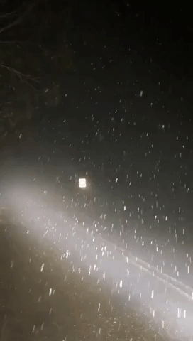 Locals Enjoy Novelty of Snowfall Near Sheba Dam