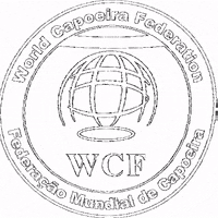 capoeira capoeira GIF