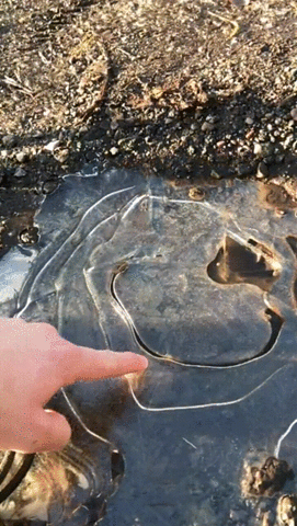 ice puddle GIF