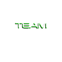 Team Hamilton Sticker by SETS BUILT