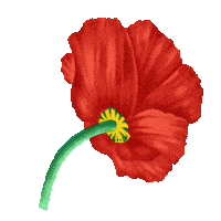 Flower Sticker by kenzo_official