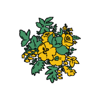 Winter Flowers Sticker by kenzo_official