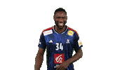 France Handball Sticker by EHF