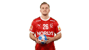 Handball Sg Sticker by EHF