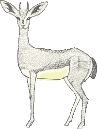 Deer Sticker by YOOLETTA
