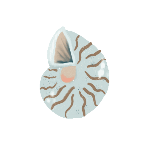 Summer Beach Sticker
