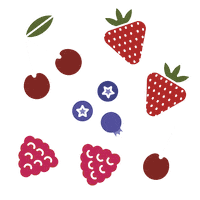 Fruit Sticker