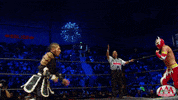 GIF by Lucha Libre AAA
