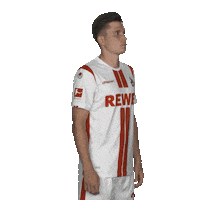 Posing Line Up Sticker by Bundesliga