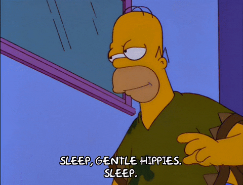 homer simpson episode 6 GIF