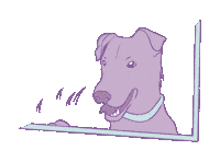 Dog Sticker