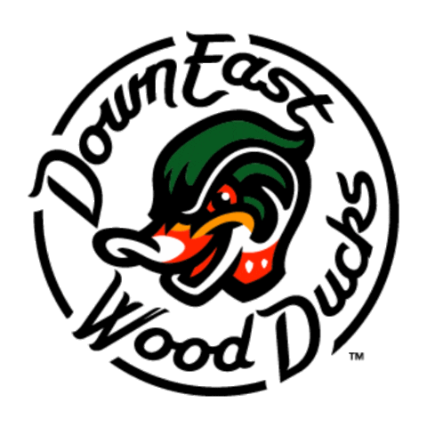 Sticker by Down East Wood Ducks