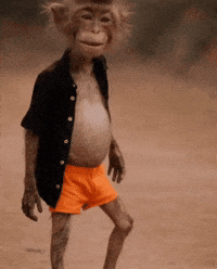 Dance Dancing GIF