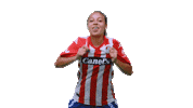 San Luis Soccer Sticker by Atlético de San Luis
