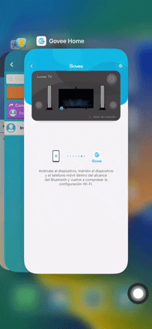 AngelR19  GIF