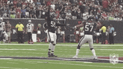 Houston Texans Football GIF by NFL