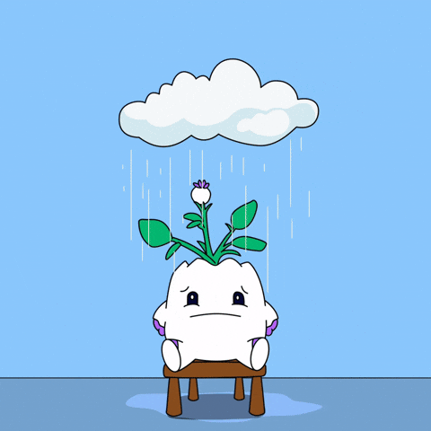 Happy Cheer Up GIF by Magic Eden