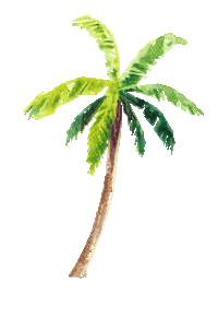 Palm Tree Island Sticker by Boardwalk Boutique Hotel Aruba