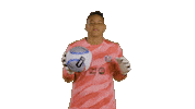 Sport Team Sticker by National Women's Soccer League