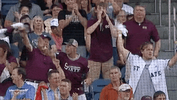 Baseball College GIF by NCAA Championships
