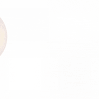 petso-llp social media 寵物 petso1992 好主人 GIF