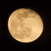 Full Moon GIF by Yasislas