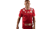 Michael Huber Celebration Sticker by grazerak