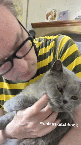 GIF by Stella 52