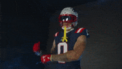 Football Celebration GIF by New England Patriots