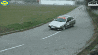 things rally GIF