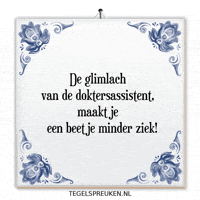 Humor Nl GIF by Tegelspreuken.nl