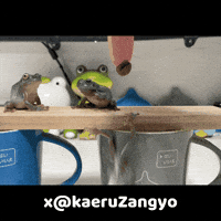 Frog GIF