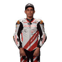 Sad Honda Sticker by WorldSBK