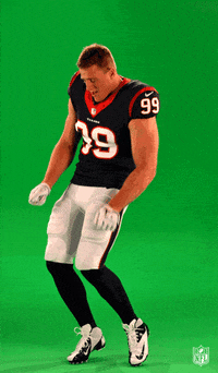 Houston Texans Football GIF by NFL
